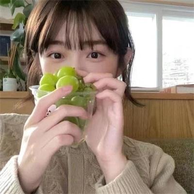 房车奇遇